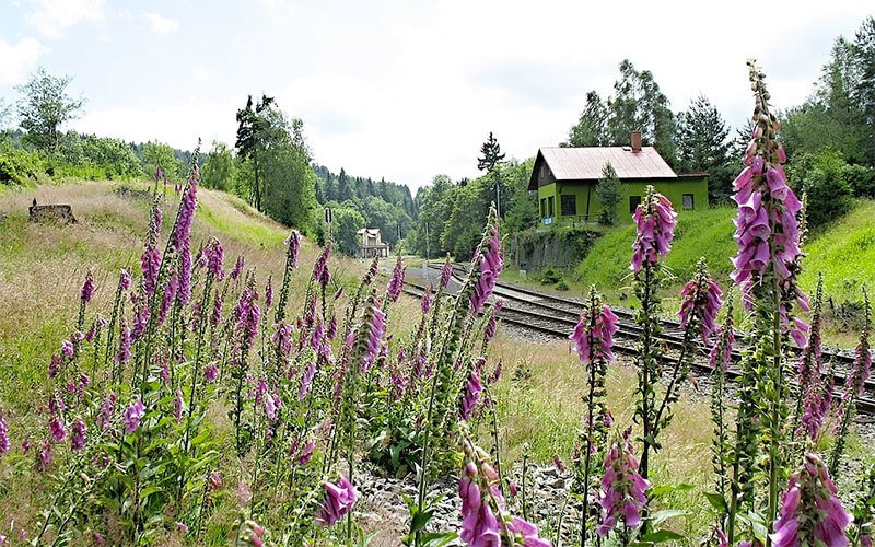 Лужицкие горы